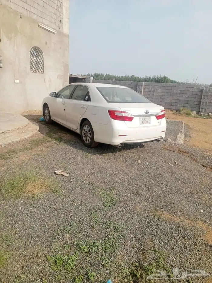 اروين 2013 4