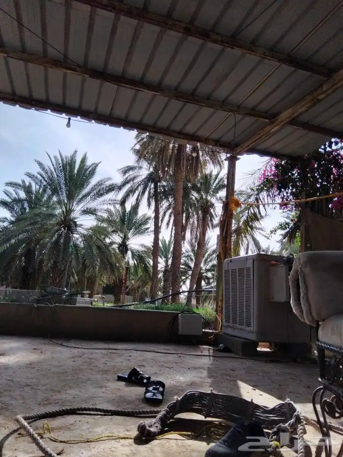 يوجد لدينا عمال صرام ومنقين بلكرتو 1