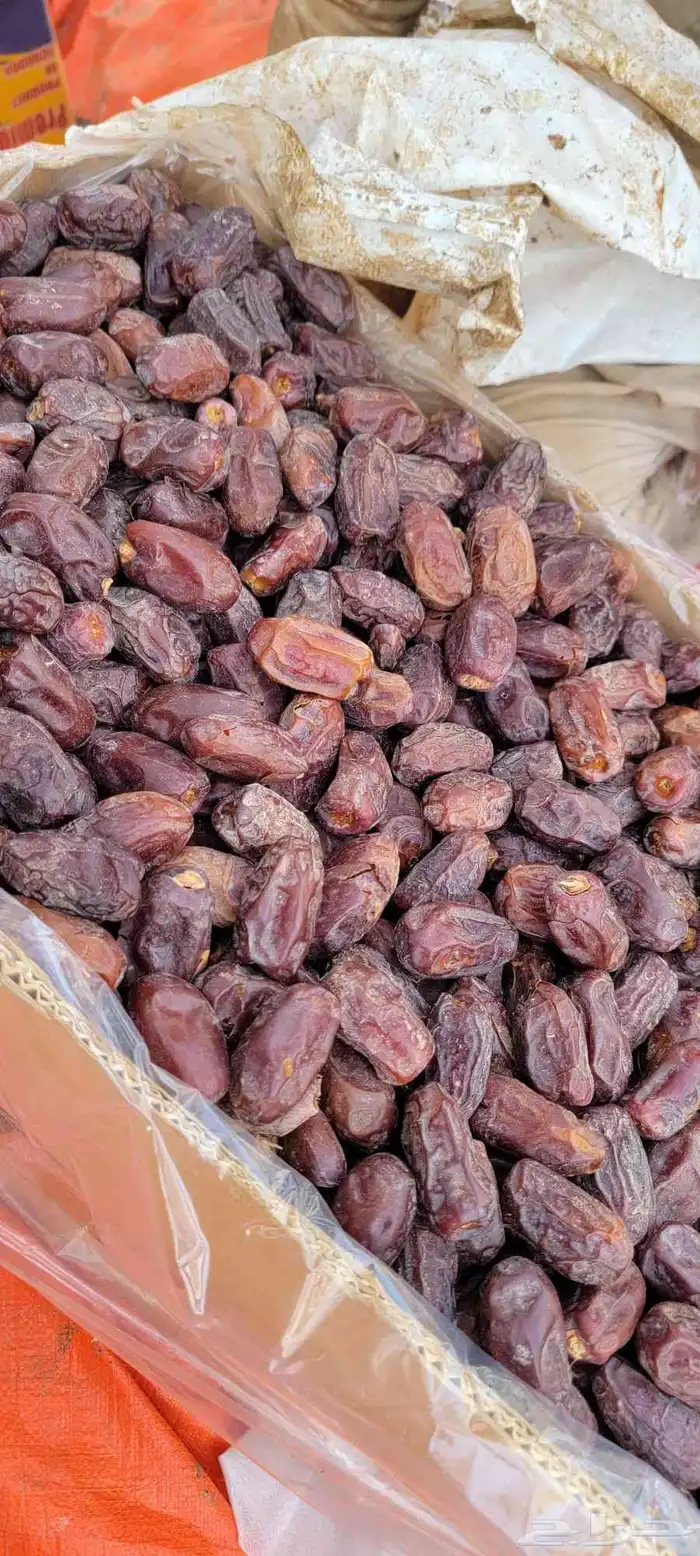 يوجد لدينا خضري جامبو 3