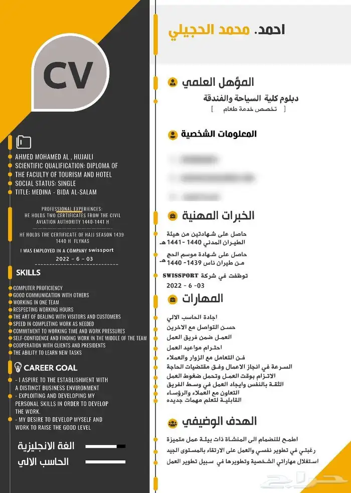 تصميم سي في احترافي 1