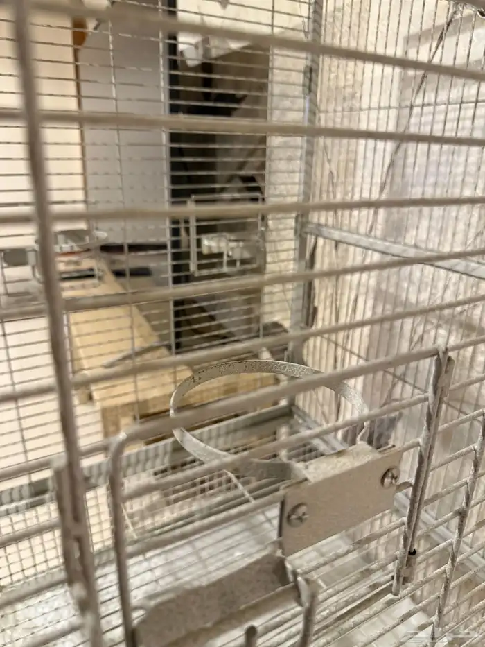 Large parrot cage for sale 2