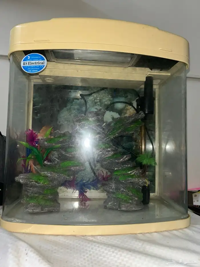 Fish tank for auction negotiable 1