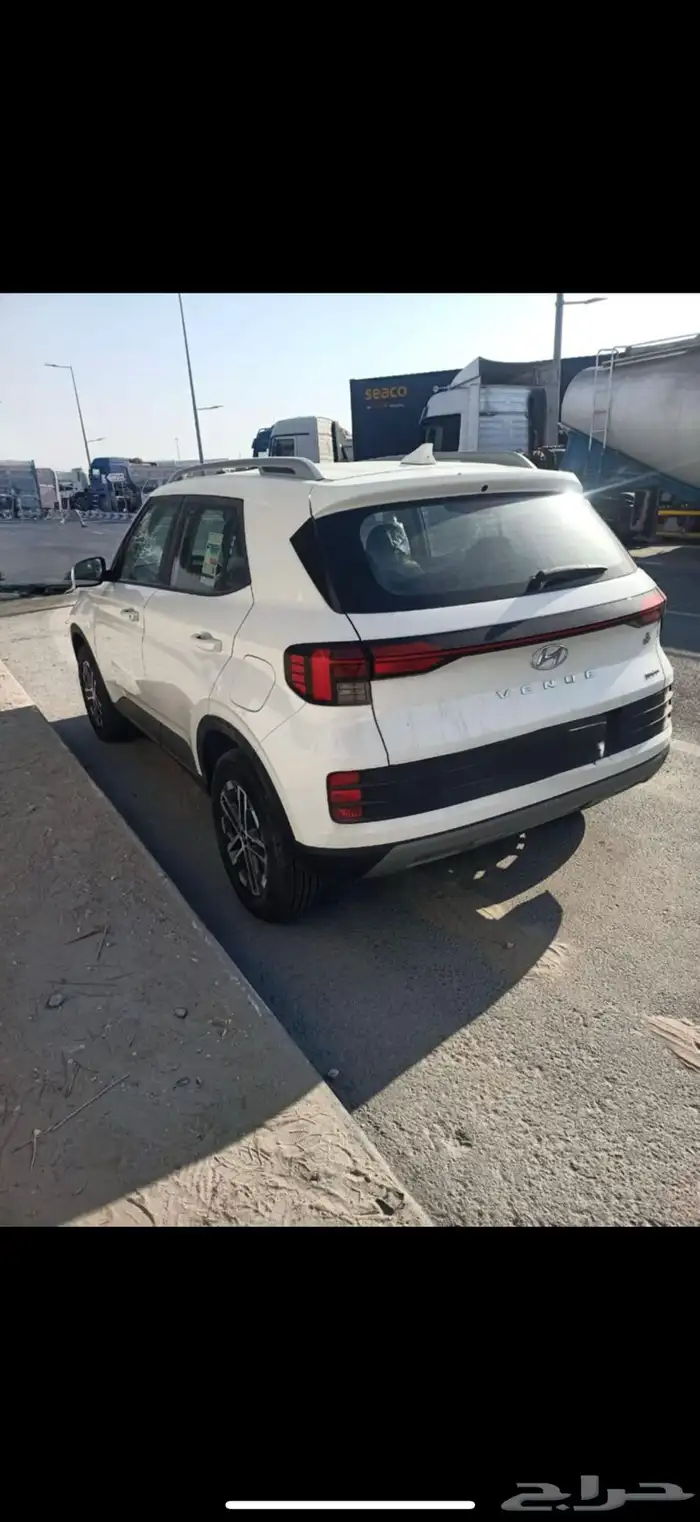 فينو 2025 اصفار 1