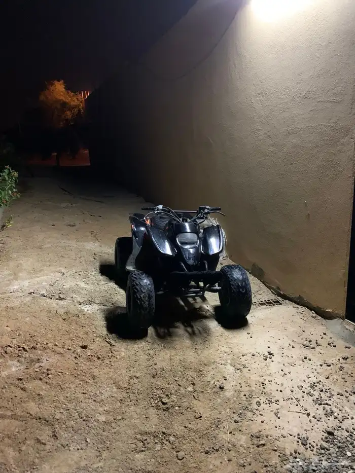 Swedish Taiwanese tank size 100 8