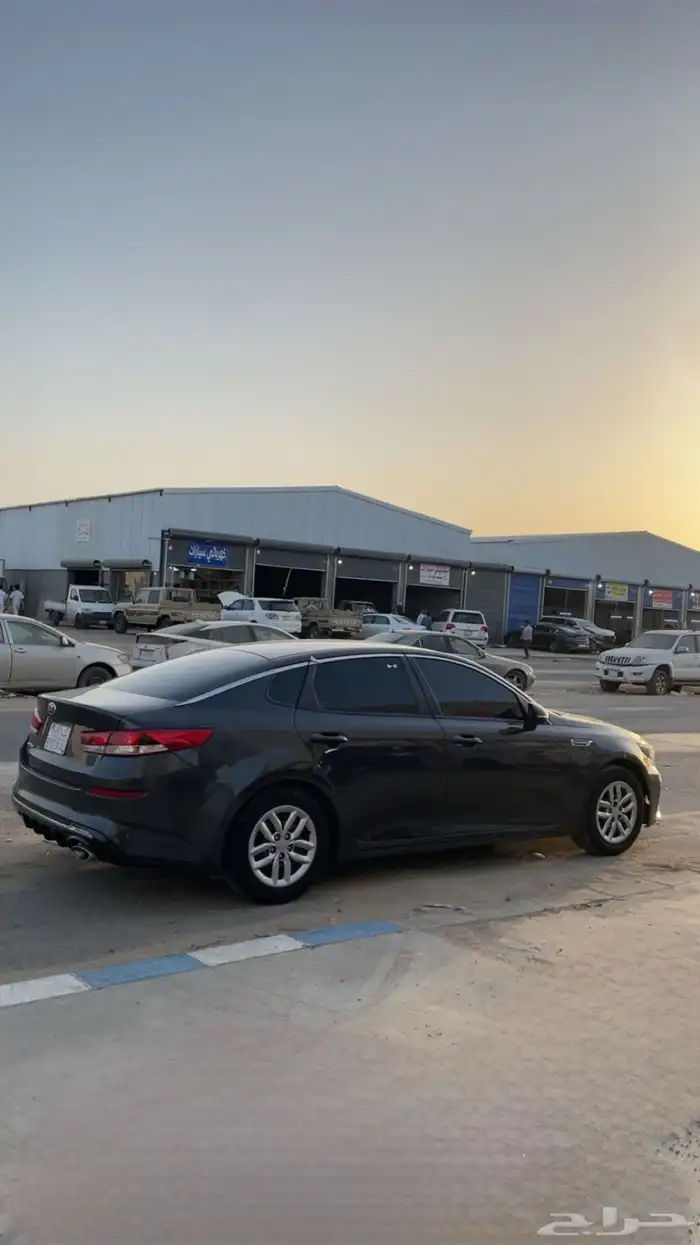 Optima 2020 4