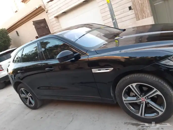 Jaguar 2020 4