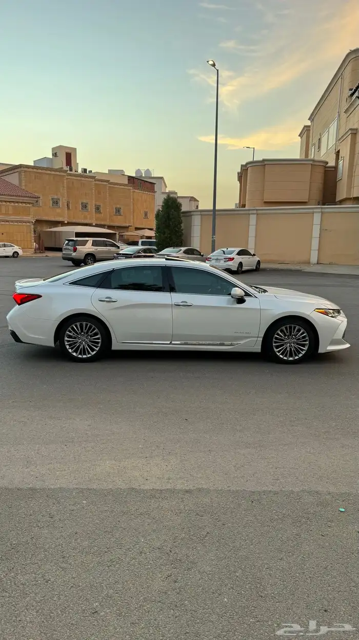 Avalon Premium 2022 15