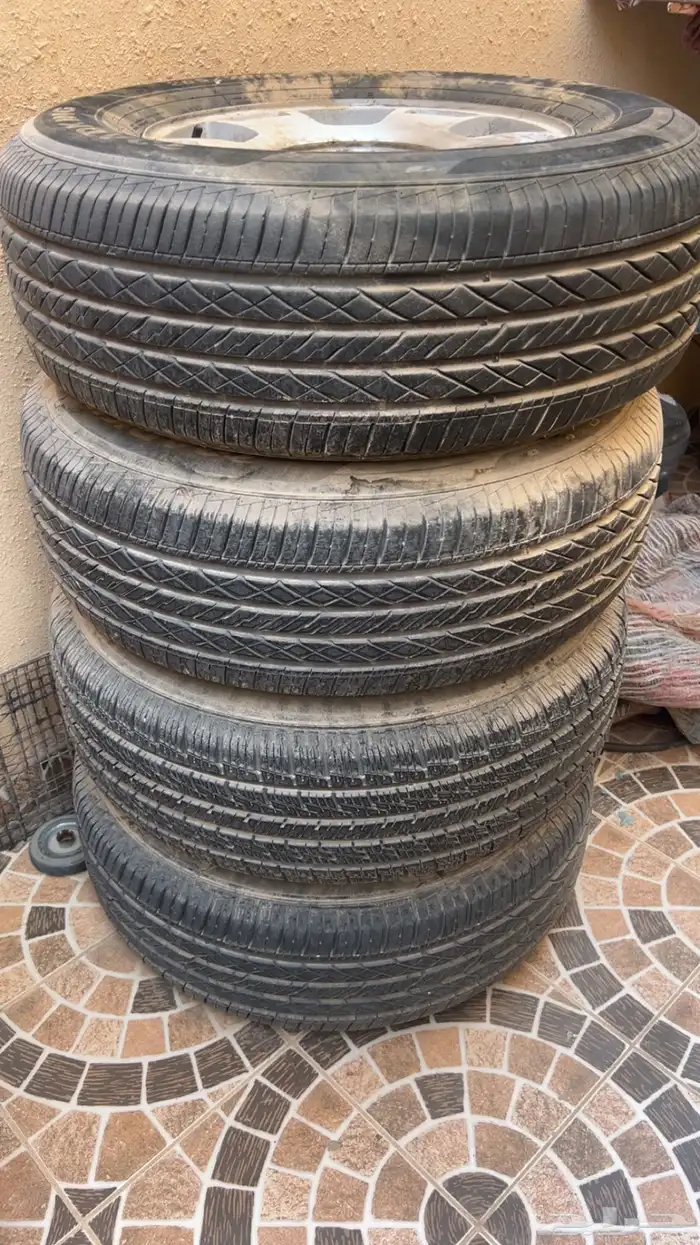 جنوط تاهو 1