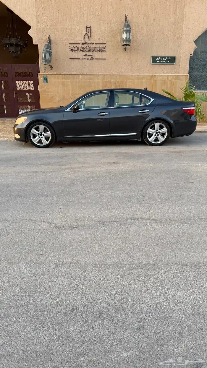 Lexus Short 2008 American 7