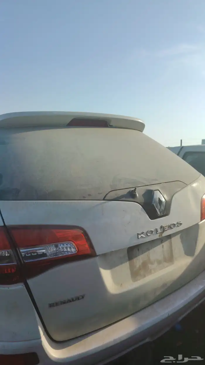 جميع انواع الرينو 6