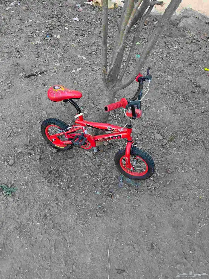 سيكل كوبرا مقاس 12 2