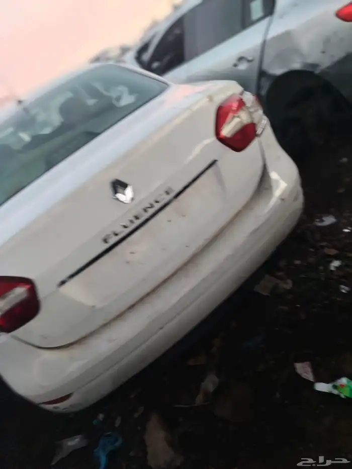 جميع انواع الرينو 3