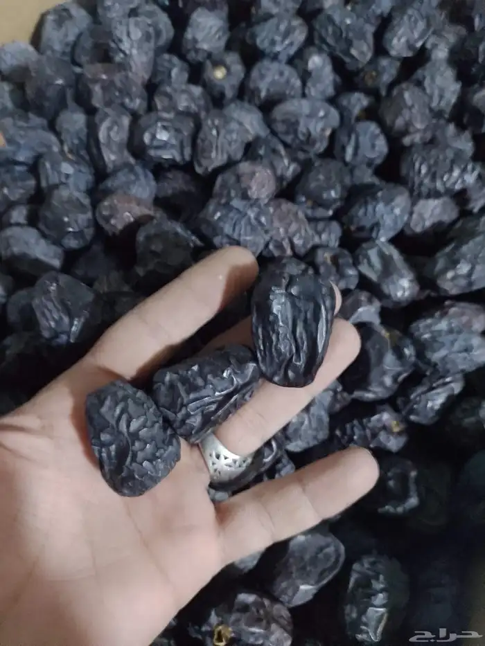 عجوة المدينه 3