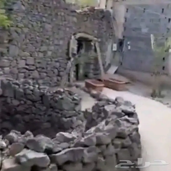 يلي نزور المدينه 4