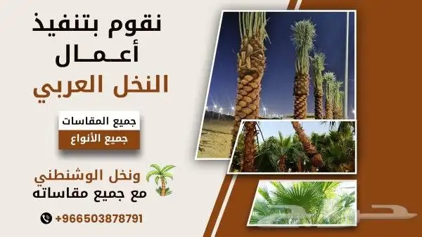 مقاول تراث نخل شبوك نقوم. بشغل اتراث من اطين وسقوف خشب وجريد 3