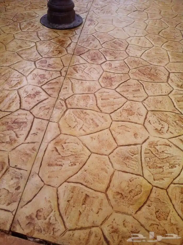 صبه مروحه صبه متبوعه صبه ميزانيه بوكسي في ايي منتقه 1