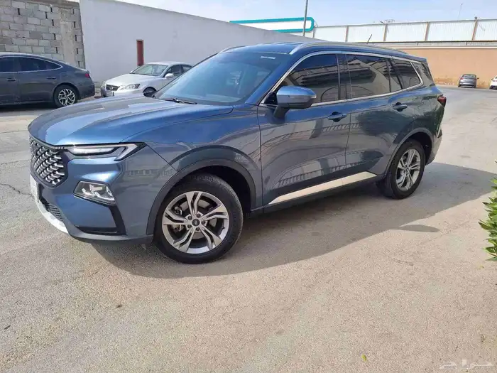 تيرتوري 2024 11