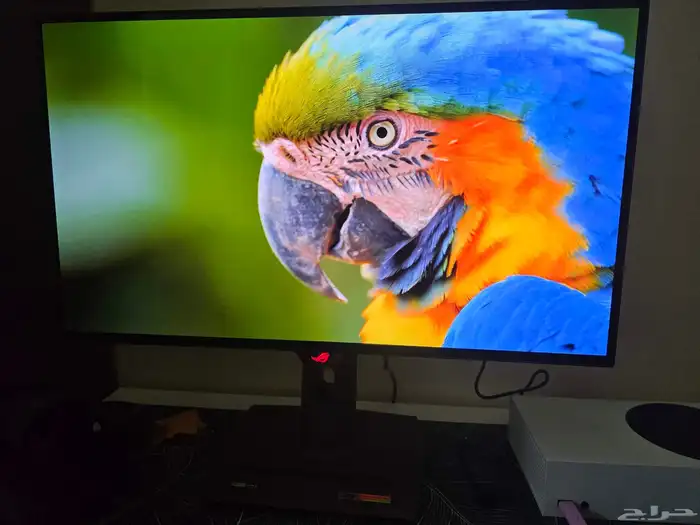 شاشة ROG Strix OLED XG27AQDMG 1