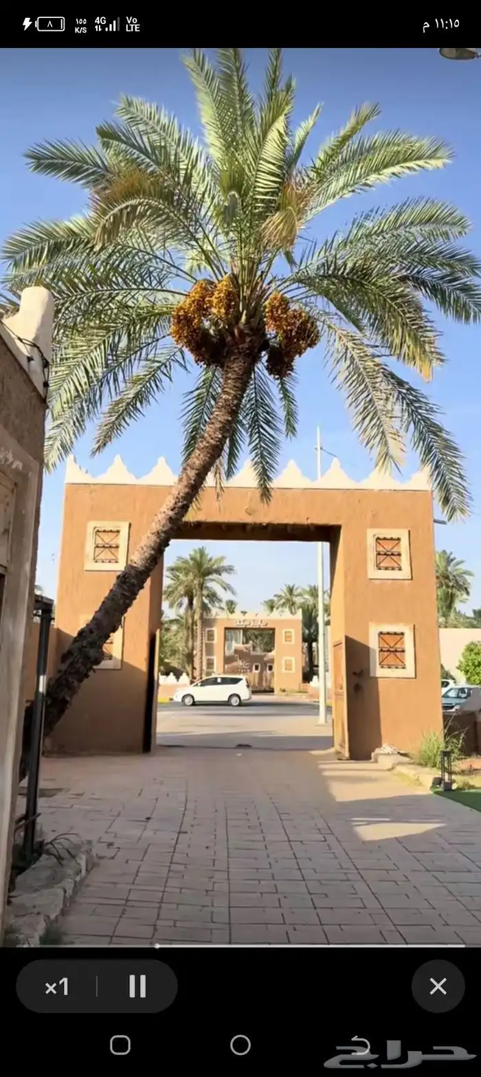 تراث القدايم بنيان من الاساس ترميمات تليوسات 3