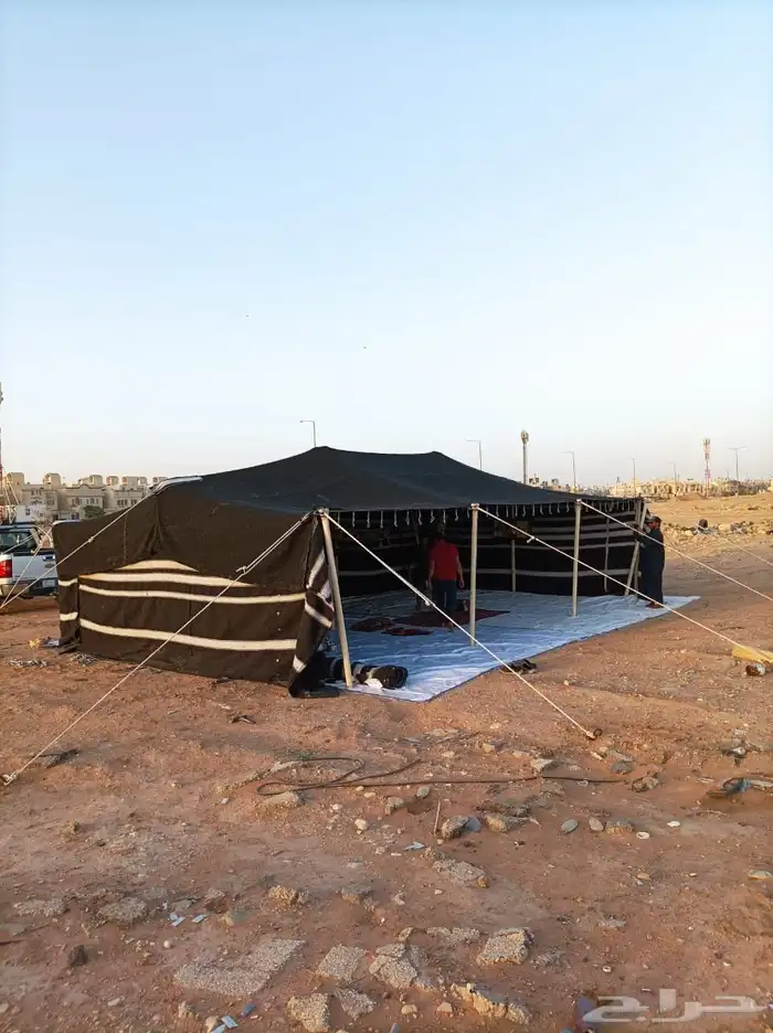 خيام وبيوت شعر ربيع الشمال 5