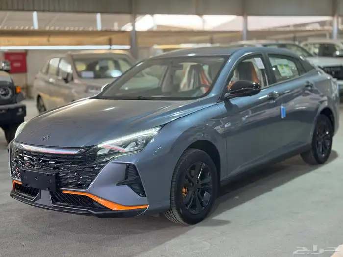 دينج فينج شاين E2 أقل سعر 2026 (التوكيلات) 2