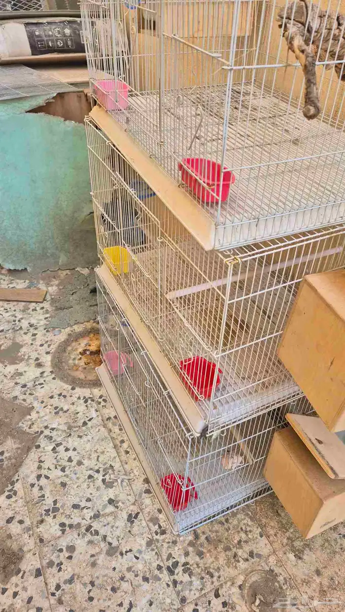 اقفاص طيور 13