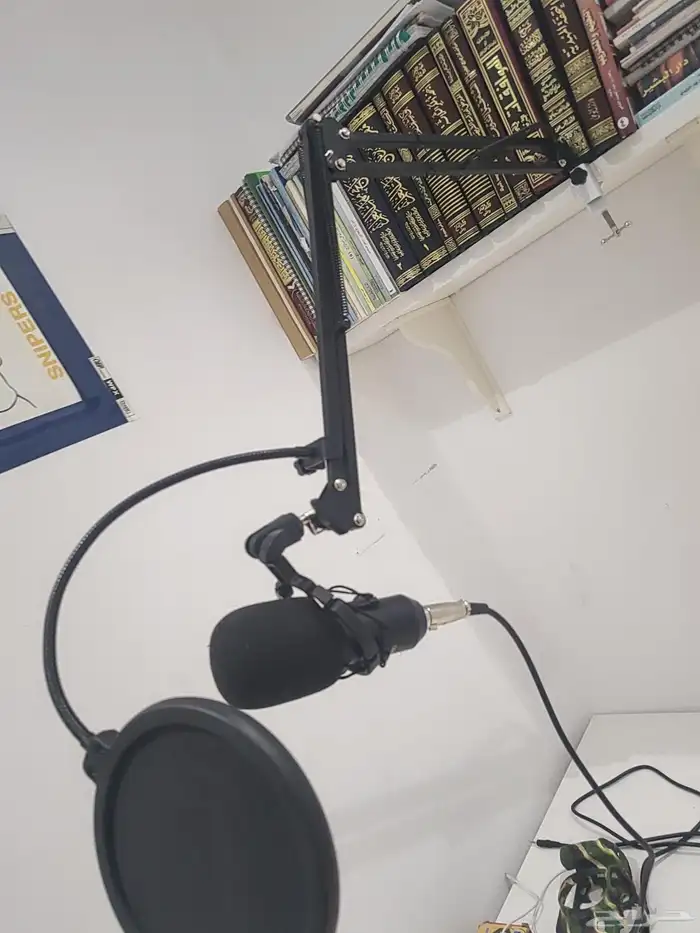 مايك السعر 100 1