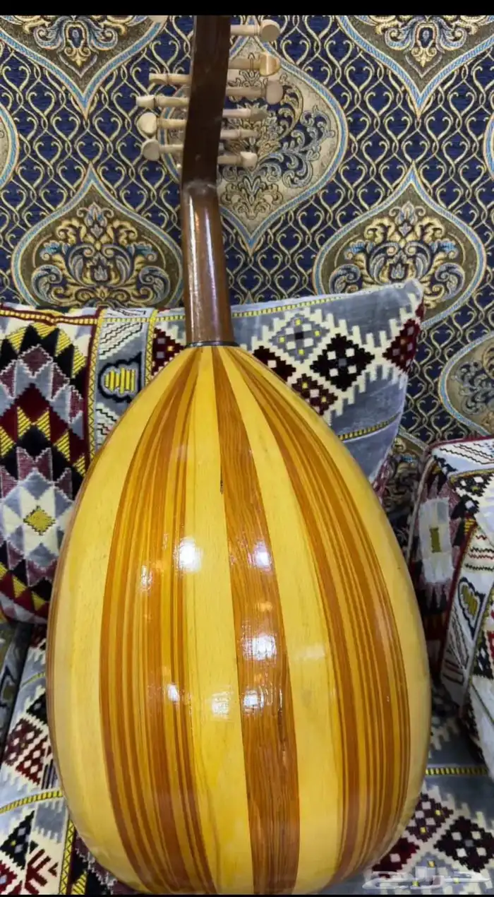 عود عزف للبيع لاعلا سعر ع السوم 1