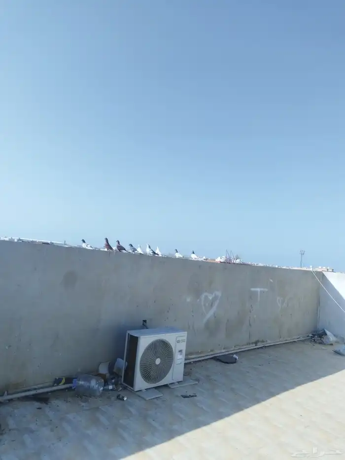 حمام مشكل للبيع 1