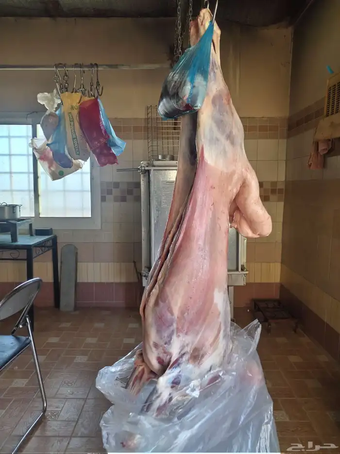 معلم مشويات العاصمة مدينة الرياض 1