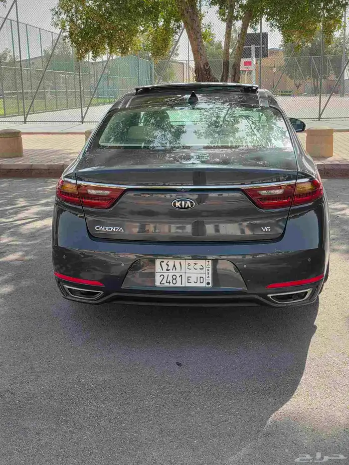 كادنزا 2017 ممشى 278 12