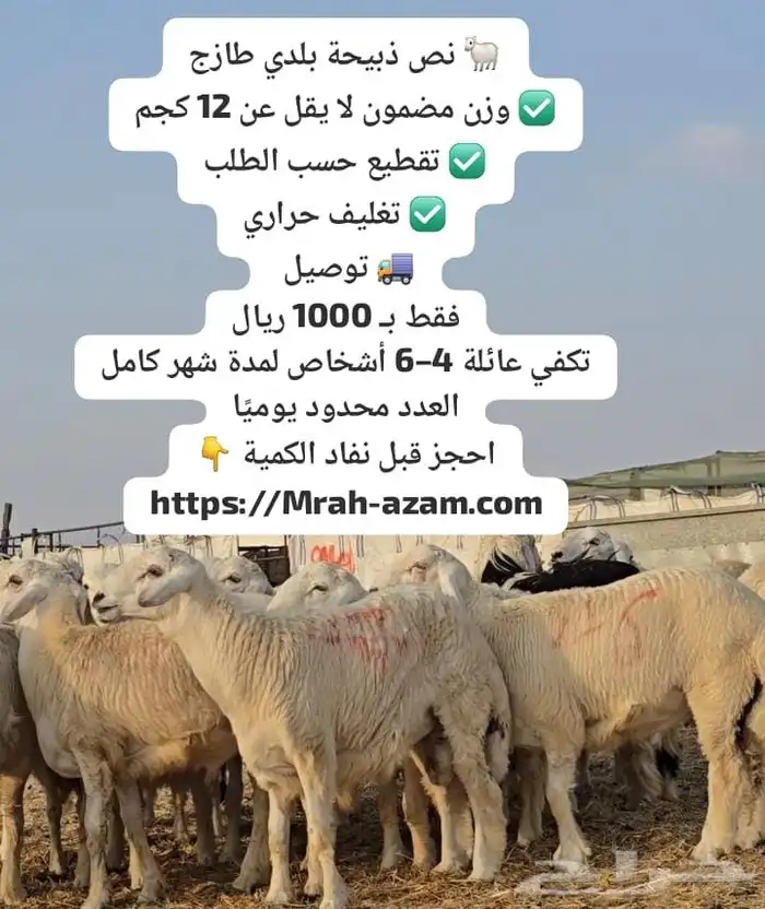 Ramadan sacrifices 2