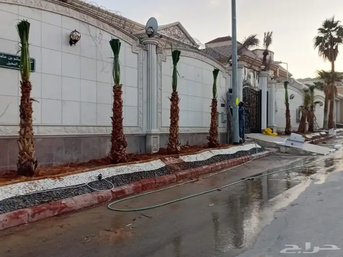 Washington palm Abu Marwahs decoration luxury firstclass Was 1