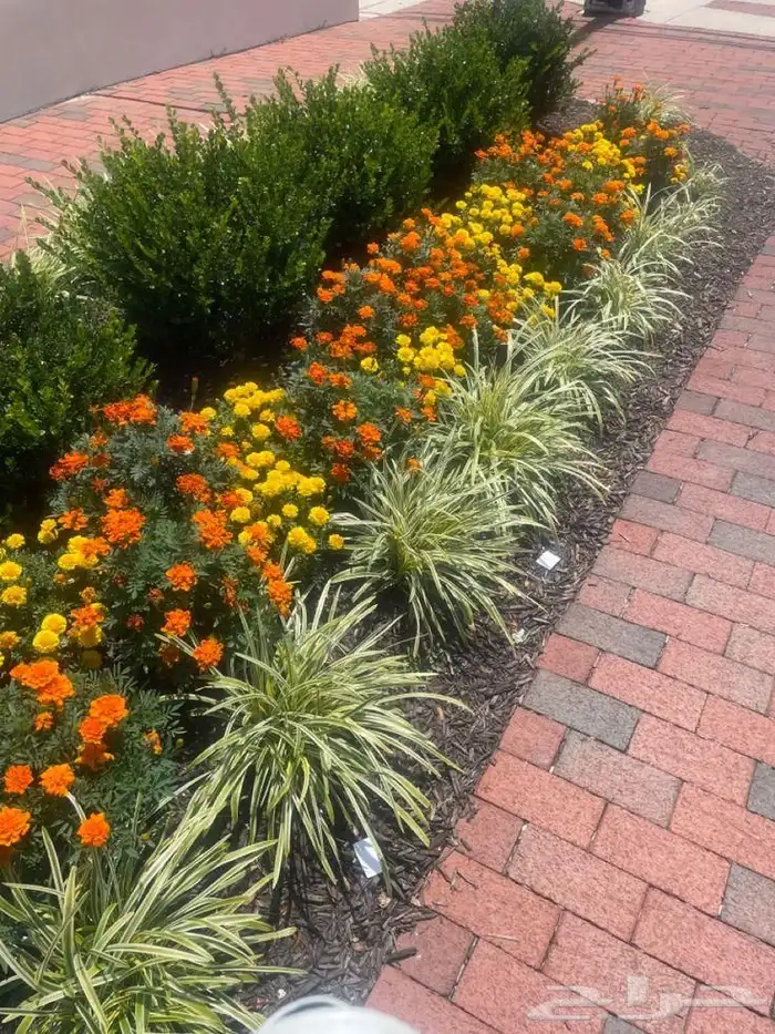 تنسيق الحدائق وتوريد الأشجار داخلي وخارجي نوافير شلالات 3