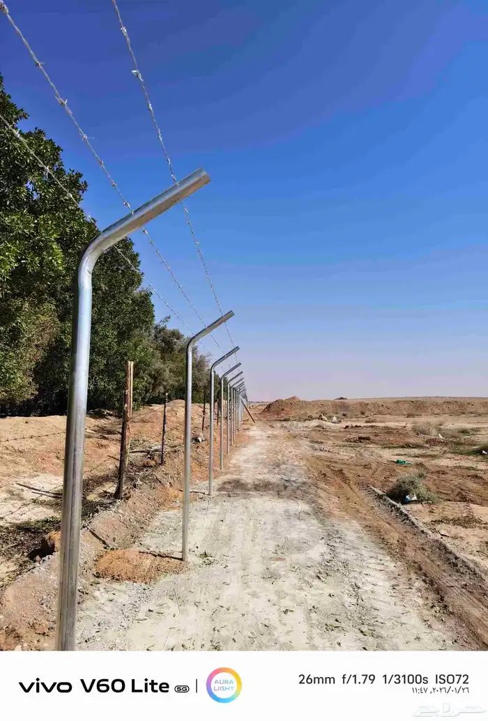 مقاولات اشبوك المجلفن والعايدي ونخيل العربي والوشنطن والحجر 1