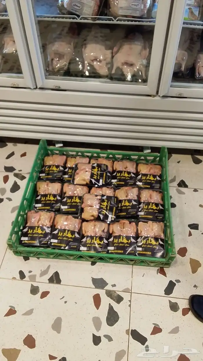 Pigeon chickens slaughtered and packaged upon request 3