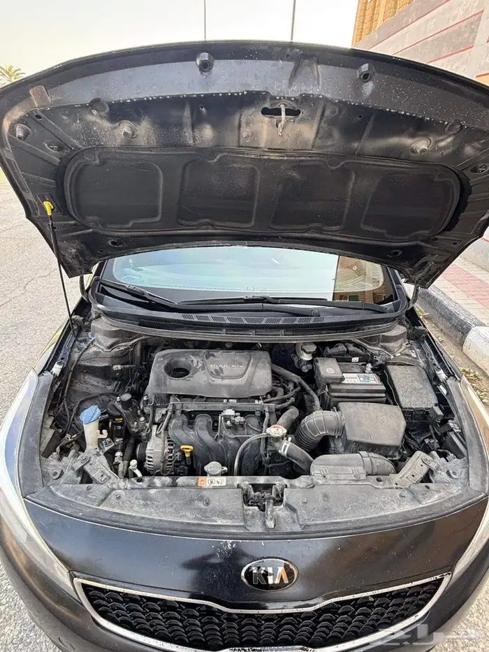 2017 Kia Cerato original body 16