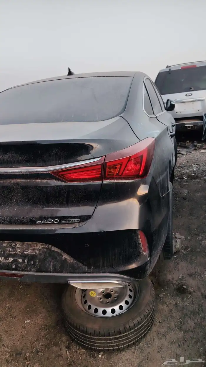 شانجان ايدو 2023 3