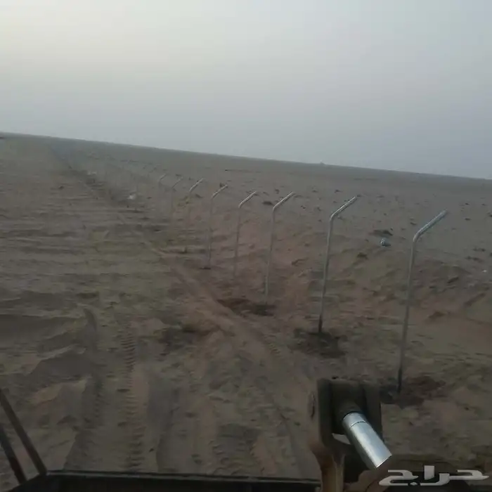 اشجار زيتون وجميع انواع الاشجار وشبوك بجمع مواصفات 4
