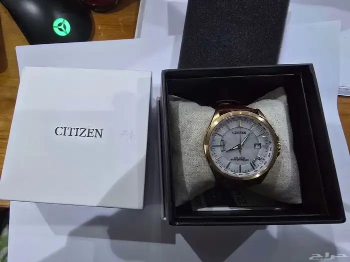 citizen watch 1