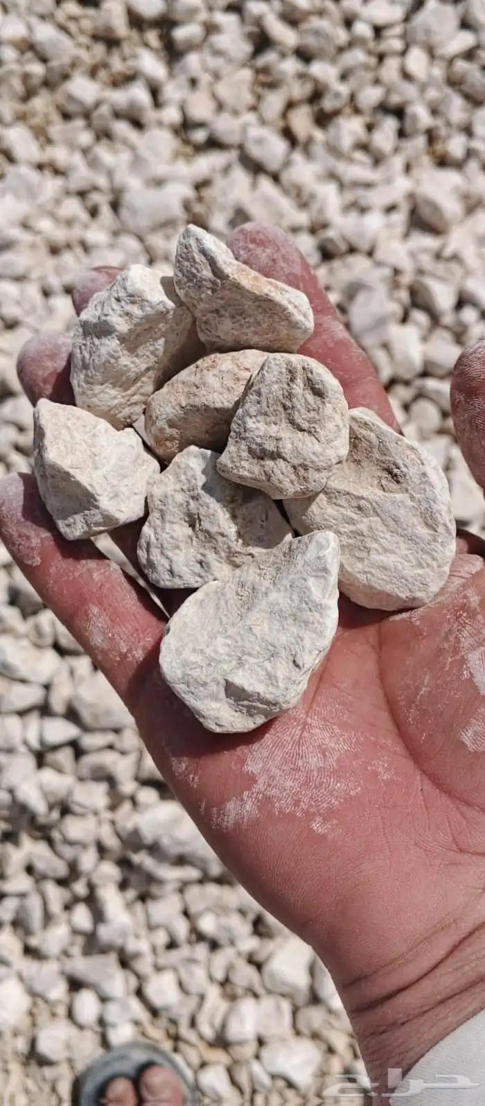 Dafan Sabeez Crusher 10