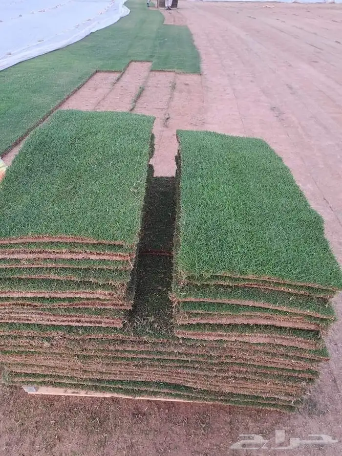 انجيله سي الفين 3