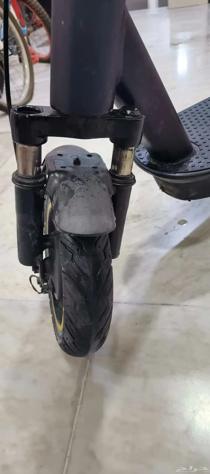 X Large Scooter 6