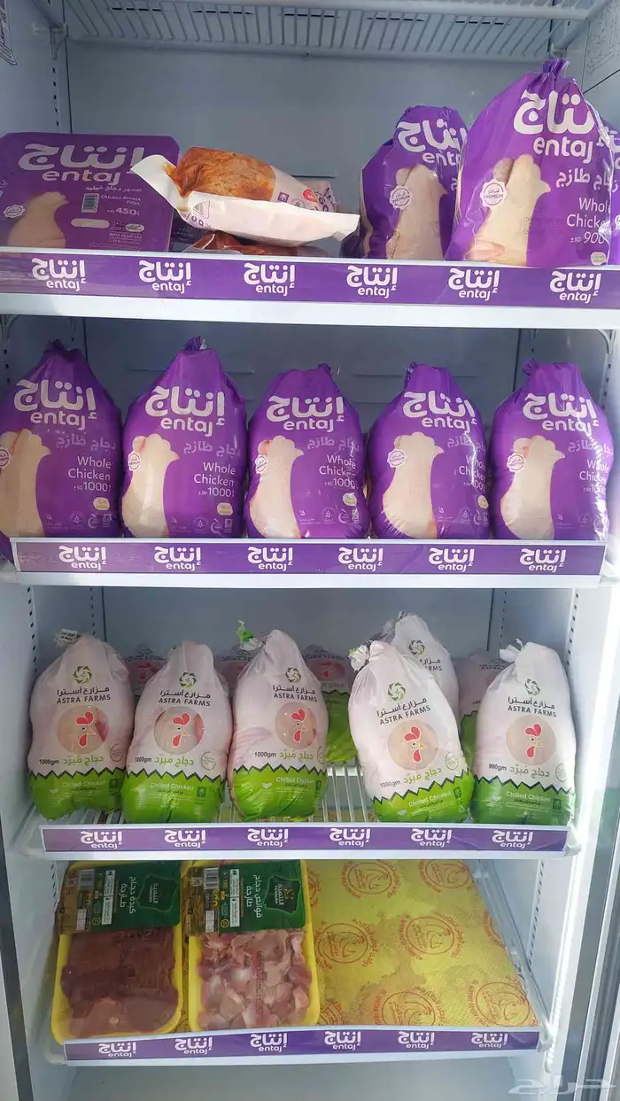 Safwat Baladi Poultry for Fresh Poultry 8