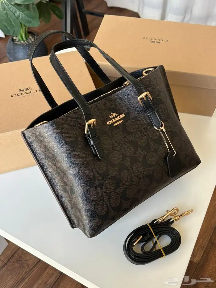 Coach Master wholesale and retail 10