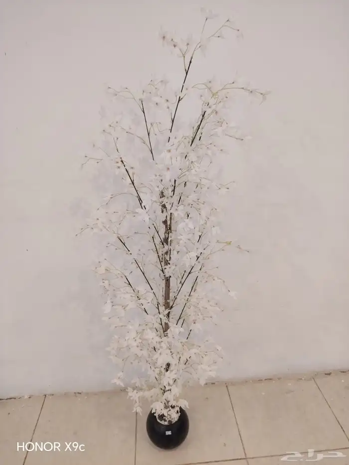 جده سوق الصواريخ 7