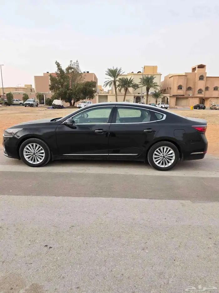 كادينزا 2018 4