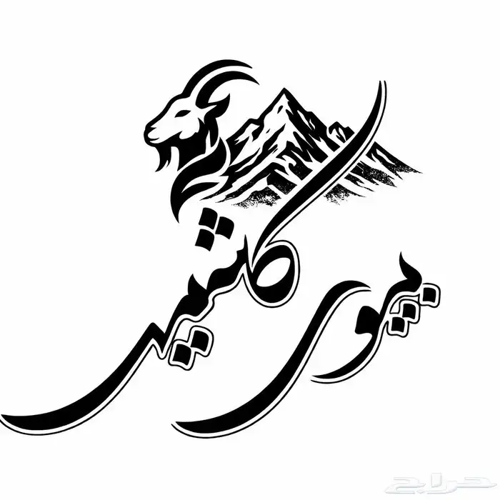 مصصم شعارات لوقو وسير ذاتيه عربي وانجليزي محترف ولدي خبره 1