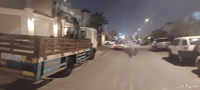 Cranes and lifts for rent surface and lift 7