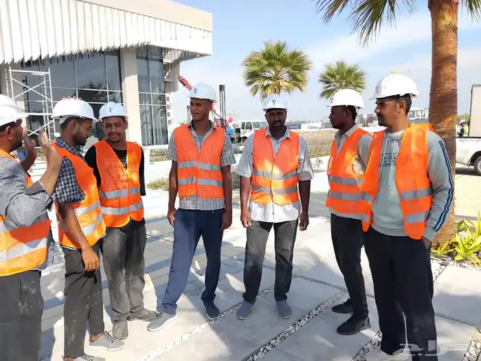 Loading workers downloading breaking cleaning daily workers 2
